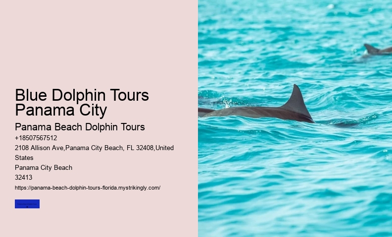 Dolphin Conservation Tours