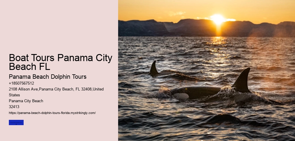 Dolphin Boat Tours Panama City Beach