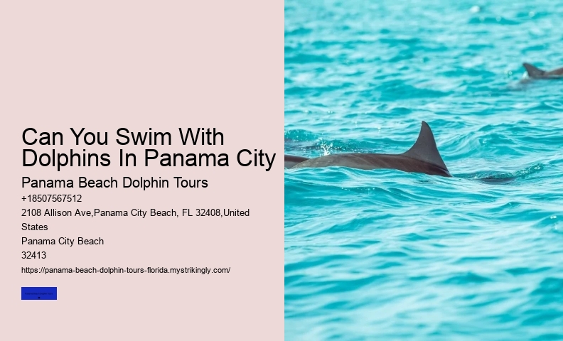 Panama Beach Snorkeling Adventures