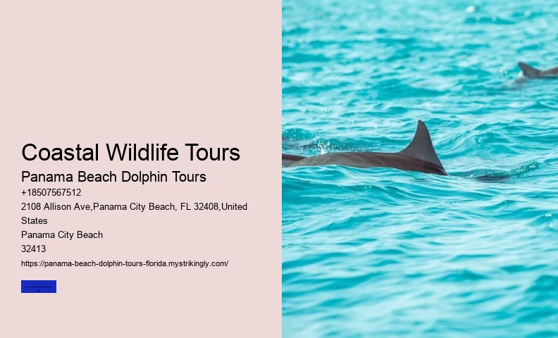 Sunset Dolphin Cruise Panama City Beach