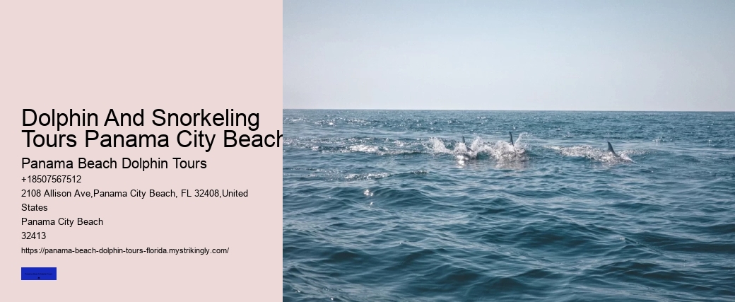 Dolphin And Snorkeling Tours Panama City Beach