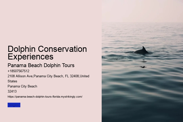 Dolphin Conservation Experiences