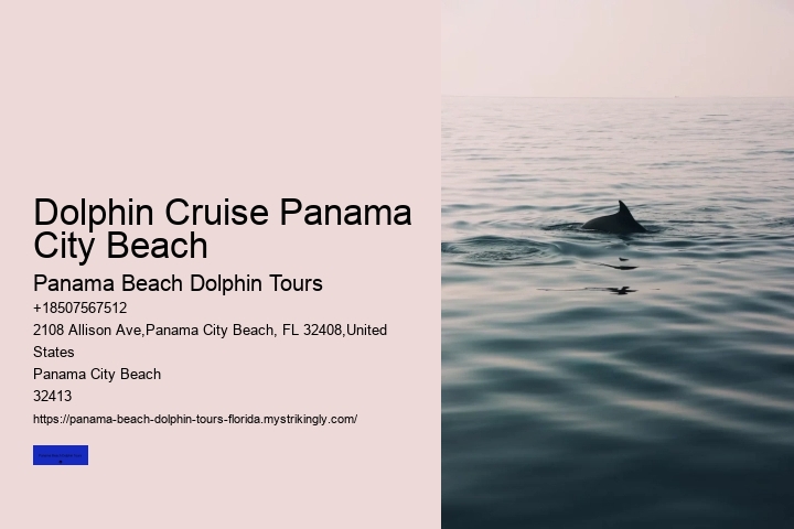 Dolphin Cruise Panama City Beach