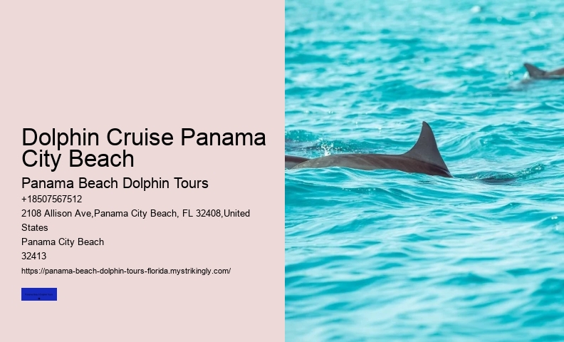 What Season Are Dolphins Most Active