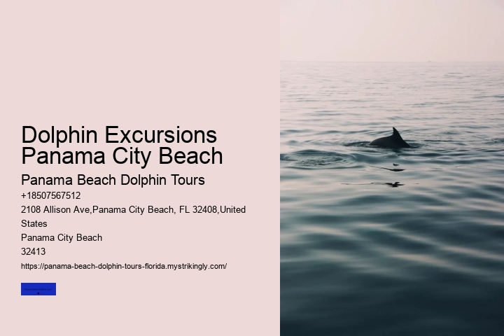 Dolphin Excursions Panama City Beach