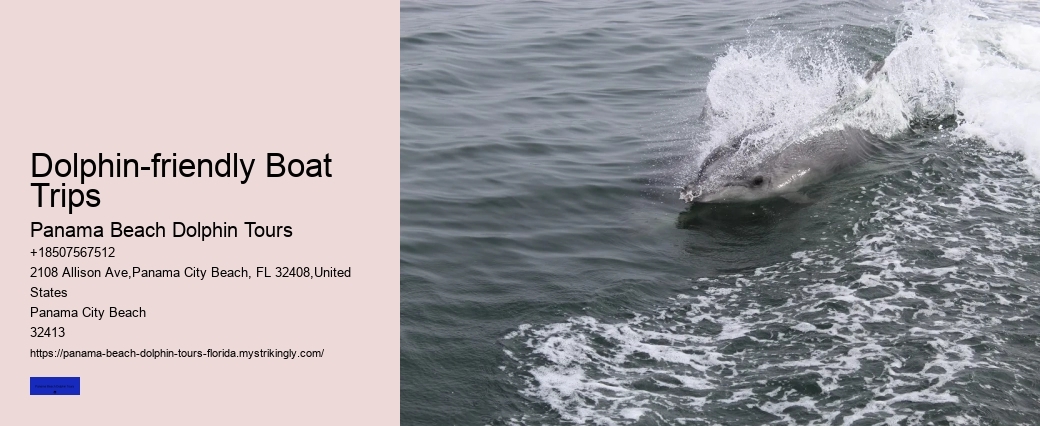 Is Shell Beach Worth A Visit