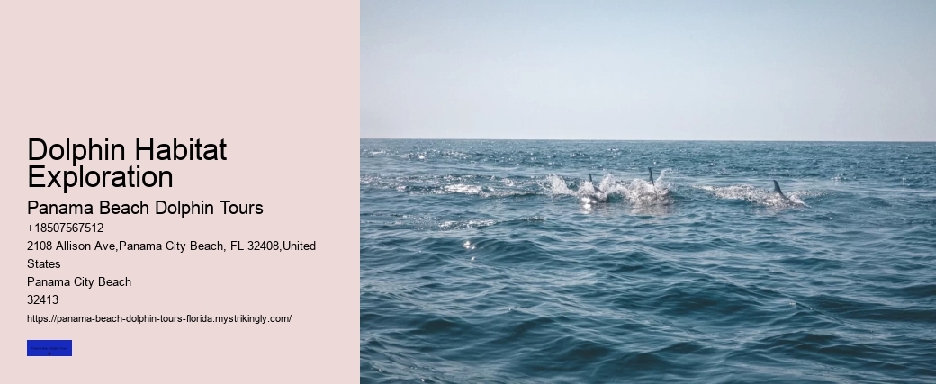 Dolphin Habitat Exploration