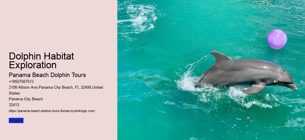 Will Dolphins Save You From Sharks