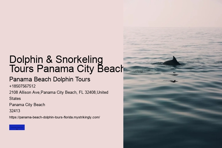 Dolphin & Snorkeling Tours Panama City Beach