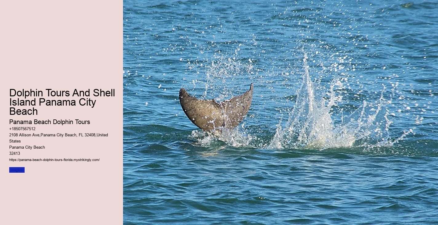 Are Dolphins Naturally Friendly Toward Humans