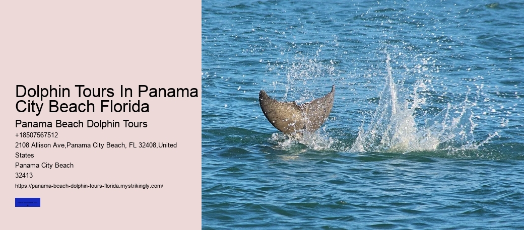 Coastal Wildlife Tours