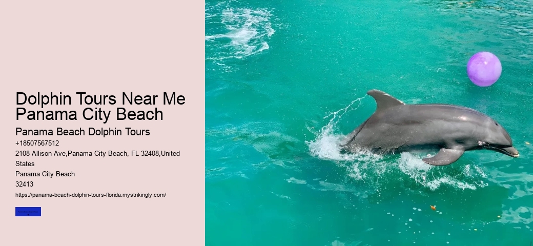 Panama Beach Group Excursions