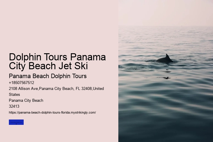 Dolphin Tours Panama City Beach Jet Ski