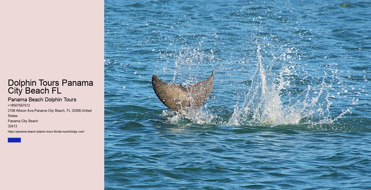 Dolphin Research Cruises