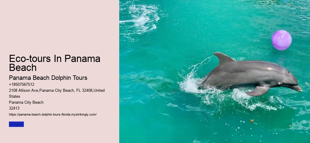 Why Can't You Swim With Dolphins On Your Period