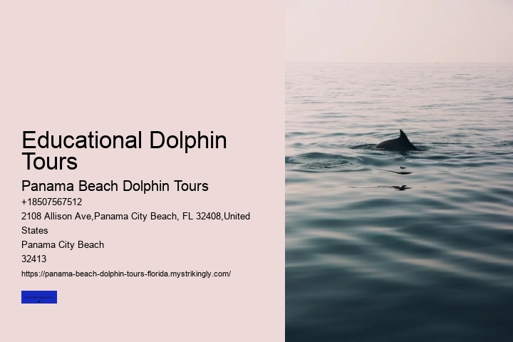 Educational Dolphin Tours
