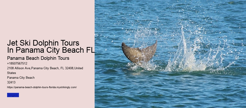 Jet Ski Dolphin Tours In Panama City Beach FL