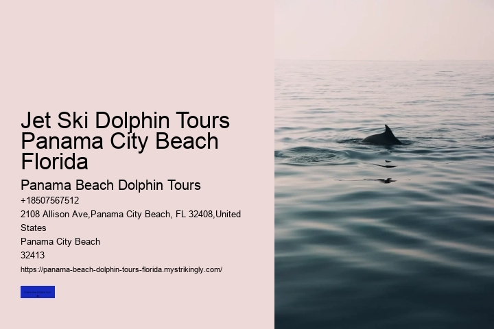 Jet Ski Dolphin Tours Panama City Beach Florida