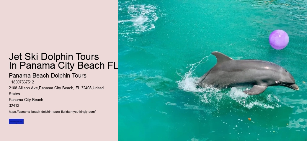 Panama Beach Wildlife Tours