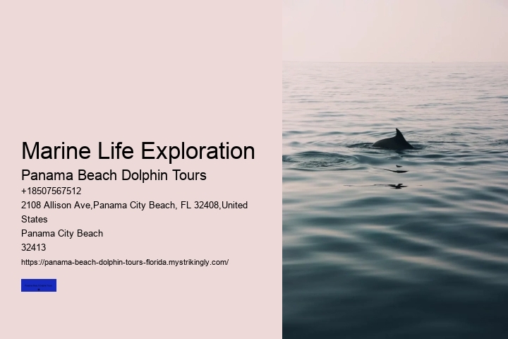 Marine Life Exploration