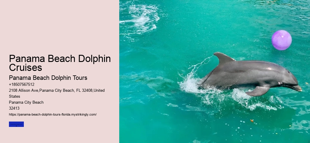 Why Do Dolphins Swim Around You