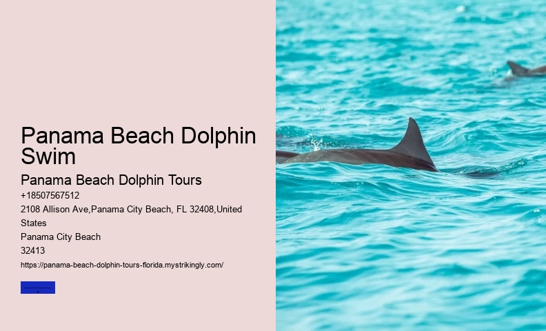 Panama City Beach Dolphin Swim Adventure