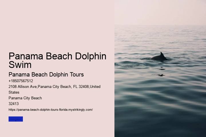 Panama Beach Dolphin Swim