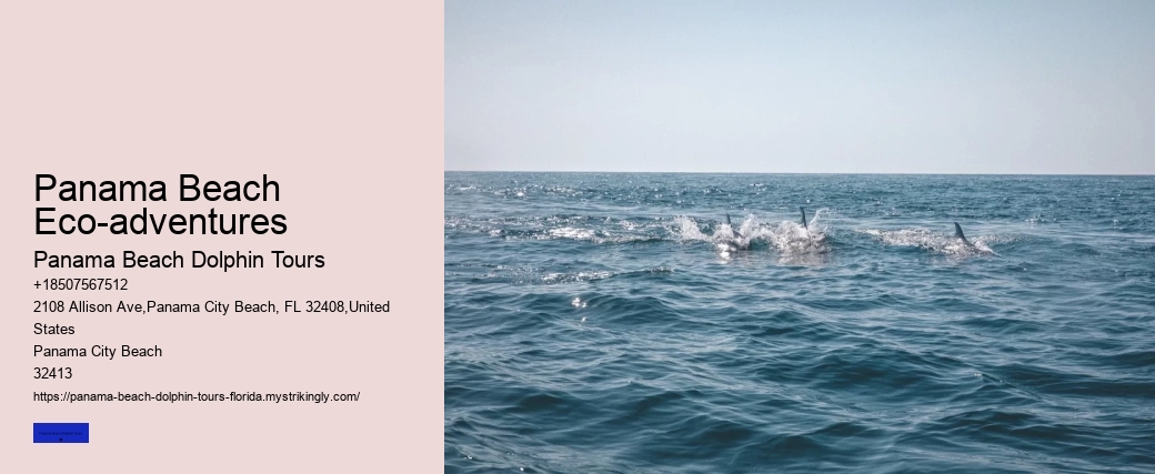 Panama Beach Eco-adventures