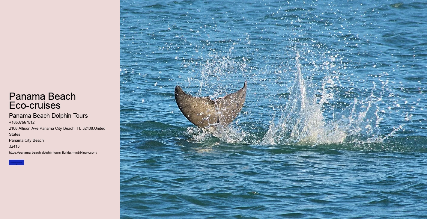 Private Dolphin Tours Panama City Beach