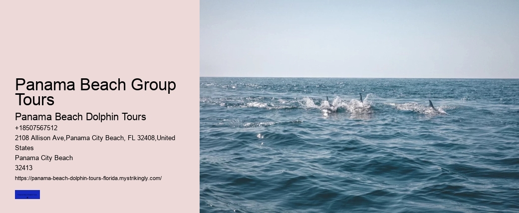 Panama Beach Group Tours