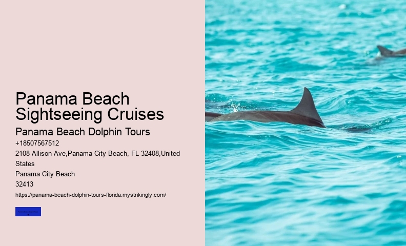 Dolphin Watching Vacations