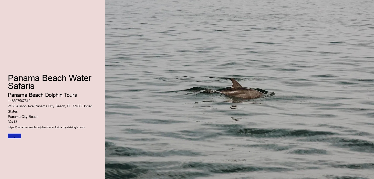 Panama Beach Water Safaris