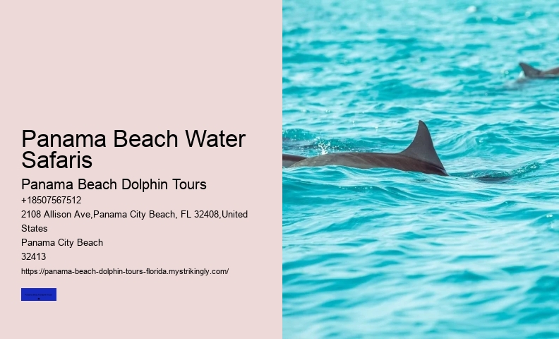 Is It Dolphin Season In Florida