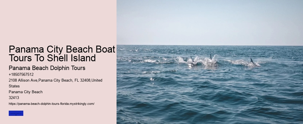 Panama City Beach Boat Tours To Shell Island