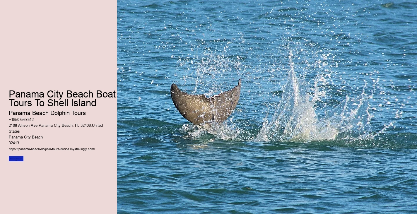 Wildlife Photography Tours