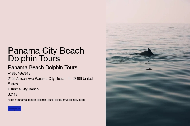 Panama City Beach Dolphin Tours