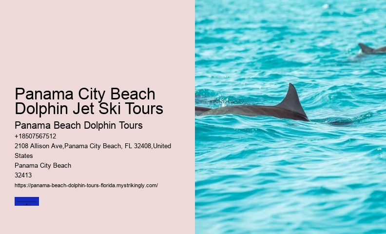 What Time Of Day Are Dolphins Most Active