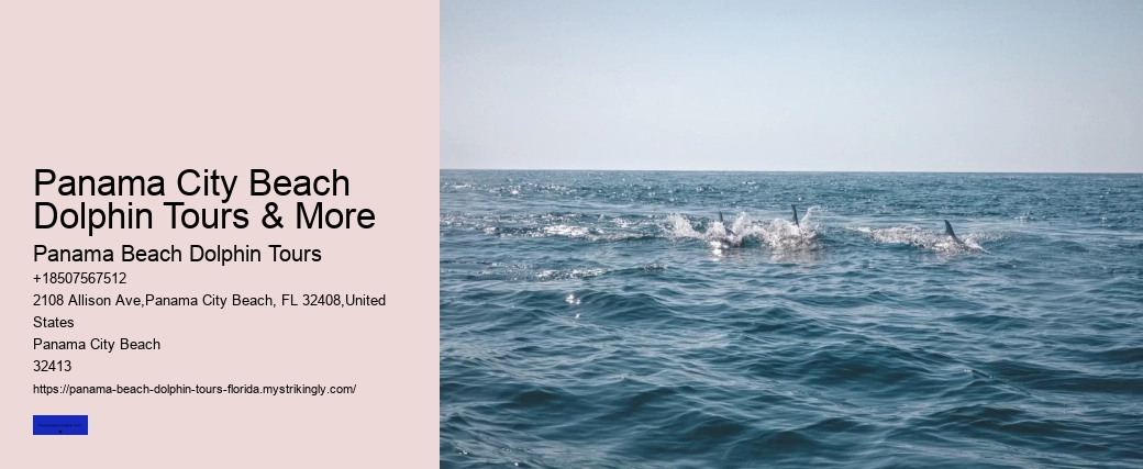 Panama Beach Boat Tours