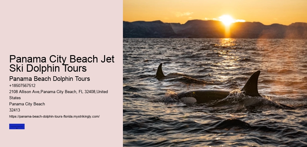 Panama City Beach Jet Ski Dolphin Tours
