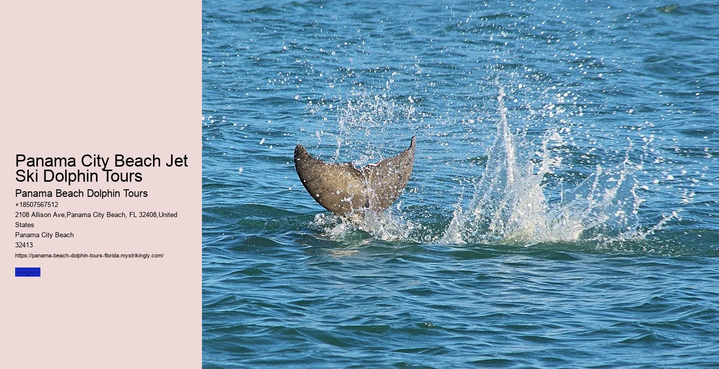 Panama Beach Marine Ecology Tours