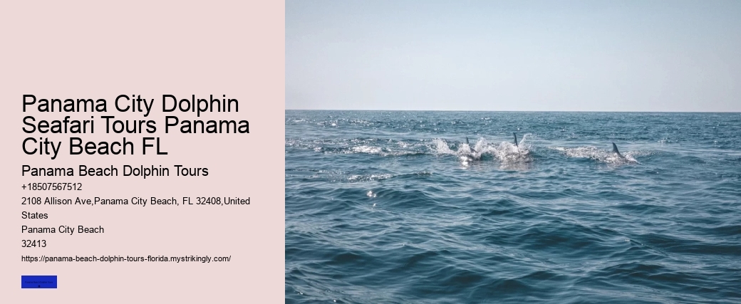 Panama City Dolphin Seafari Tours Panama City Beach FL