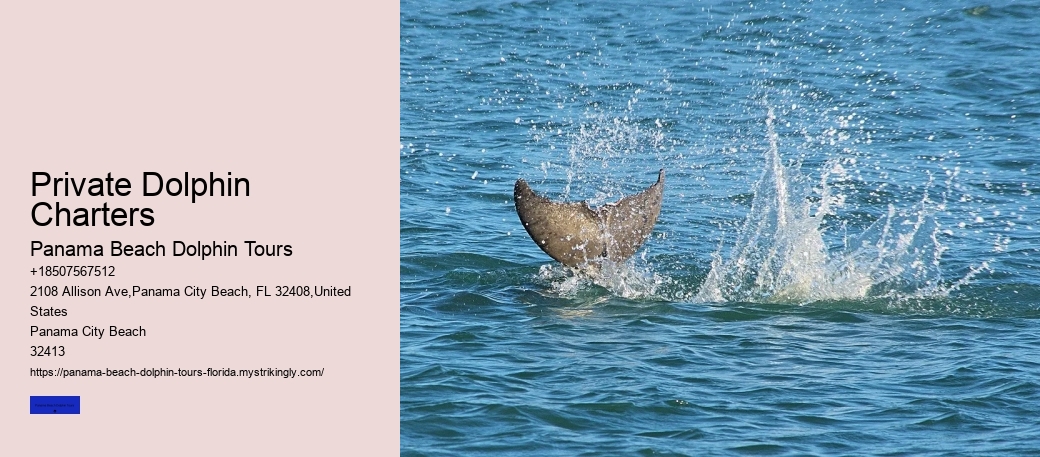 Private Dolphin Charters