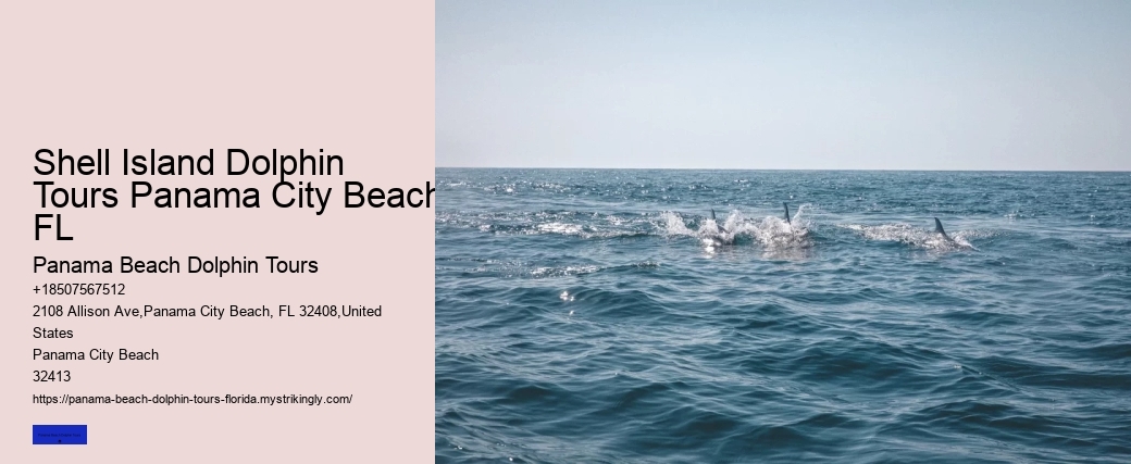 Shell Island Dolphin Tours Panama City Beach FL