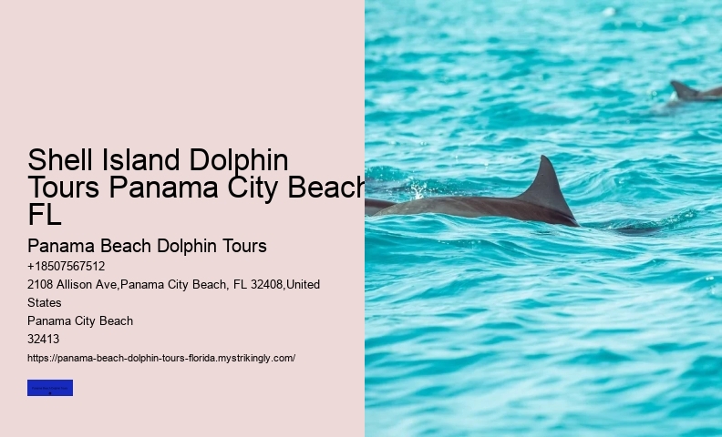 Can You Pick Up A Beached Dolphin