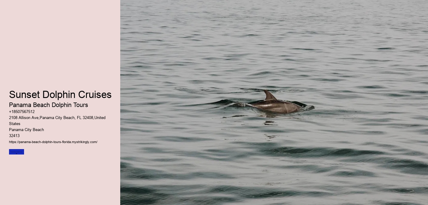 Sunset Dolphin Cruises